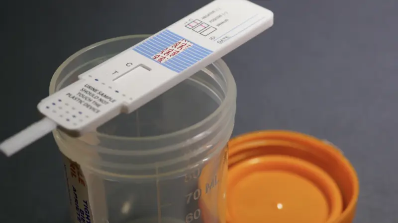 Registered Behavior Technicians and Drug Tested